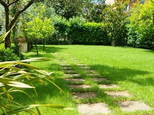 Villa Scimmia สกาอูรี ภายนอก รูปภาพ